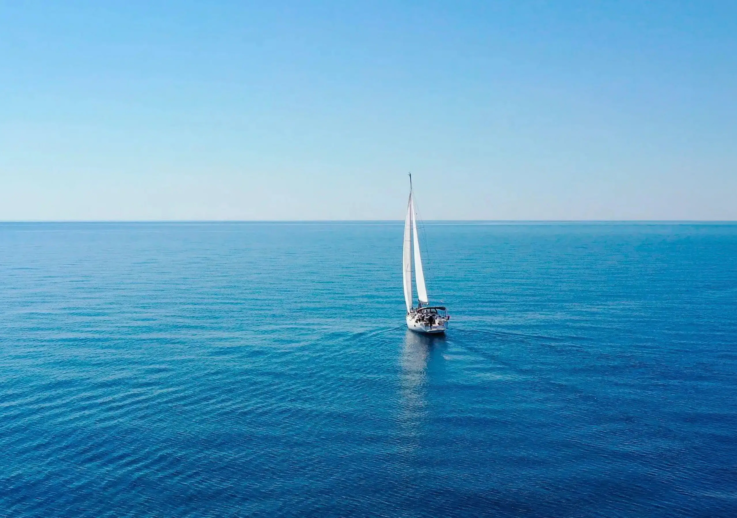 Monitorizare smartwatch